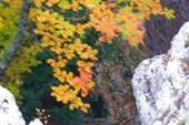 каскадна 002_resize